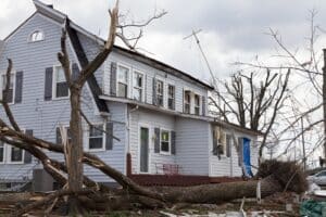 Hurricane Damage Tree